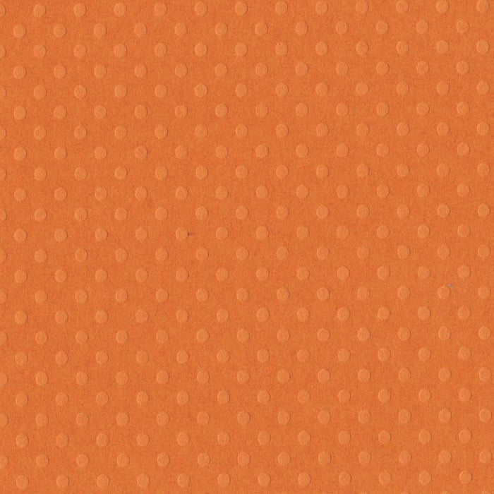 Festive/Dotted Swiss