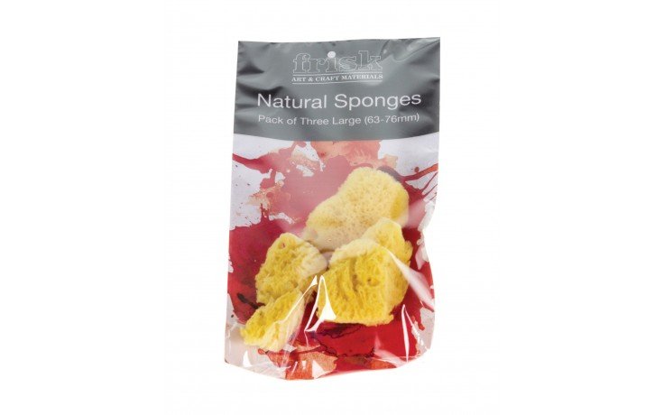 Natural Sponges - Pack of 3