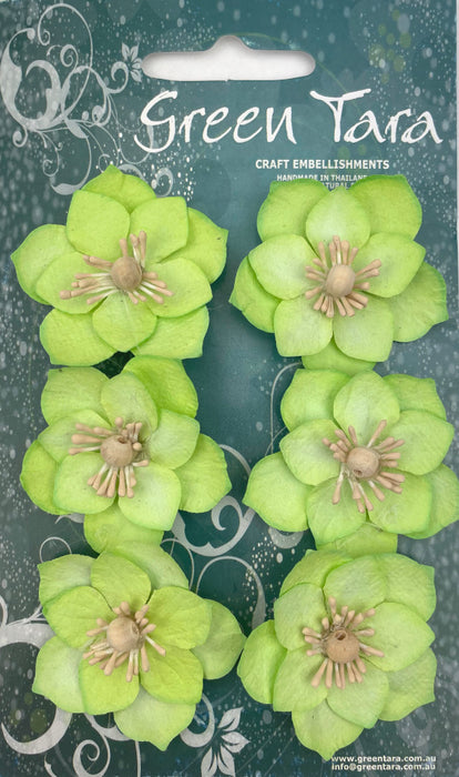 Lotus Paper Flowers - Lime