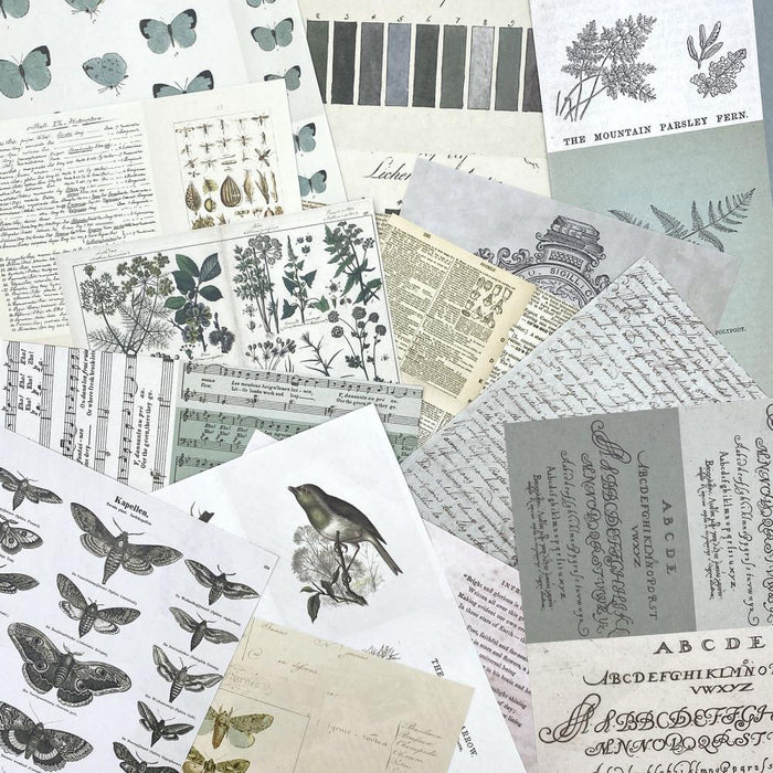 Color Swatch: Eucalyptus Collage Sheets 6"X8"