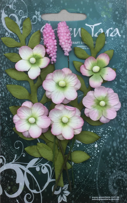 Primrose Collection - Pale Pink
