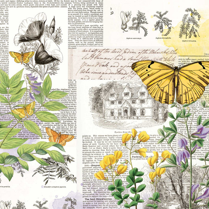 Curators  Botanical – Flutterology