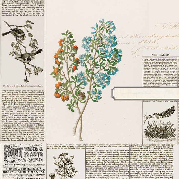 Curators  Botanical – Garden Clippings