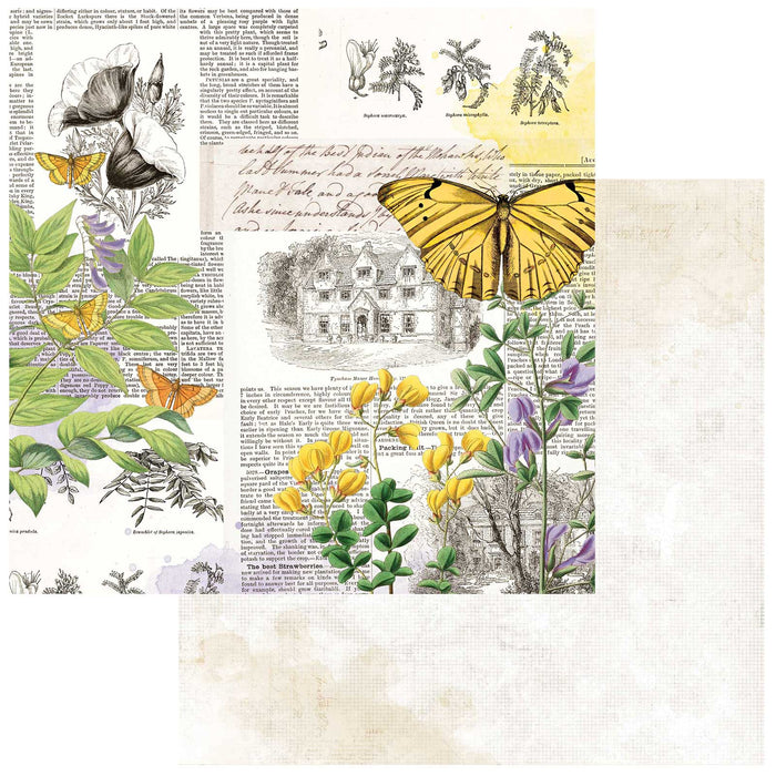 Curators  Botanical – Flutterology