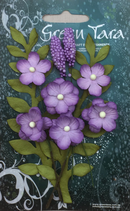 Primrose Collection - Lavender