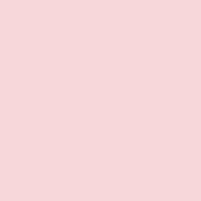 Pink Cloud/Canvas