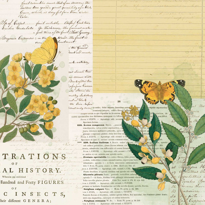 Curators  Botanical – Natural History