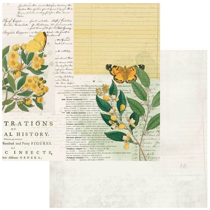 Curators  Botanical – Natural History