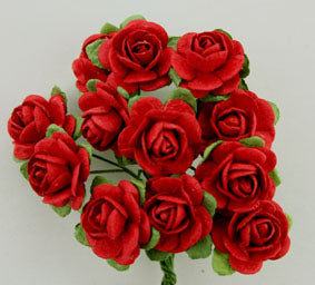 2cm  Roses Red