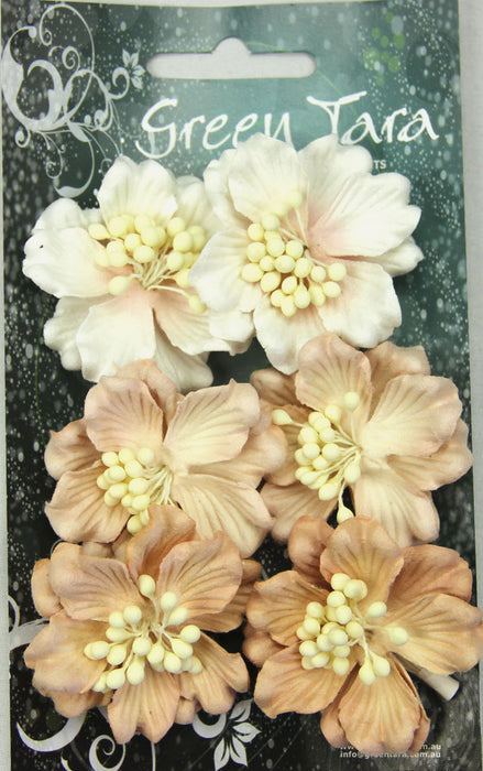 Azaleas - Beige Tones