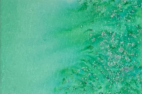 Magical Sifter - Moray Eel Mint LIMITED EDITION